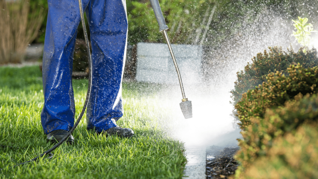 Professional Pressure Washing Services